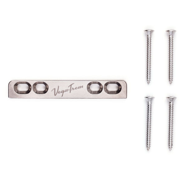 Fulcrum + screws for VT1 Ultra Trem standard